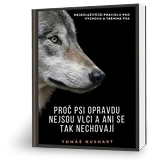 Proč psi opravdu nejsou vlci a ani se tak nechovají