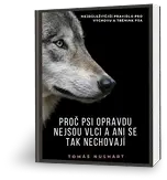 Proč psi opravdu nejsou vlci a ani se tak nechovají