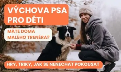 Výchova psa pro děti