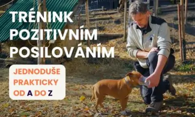 Trénink pozitivním posilováním - jednoduše