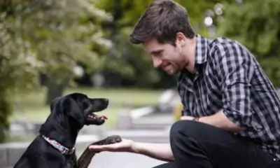 8 otázek pozitivní výchovy psa